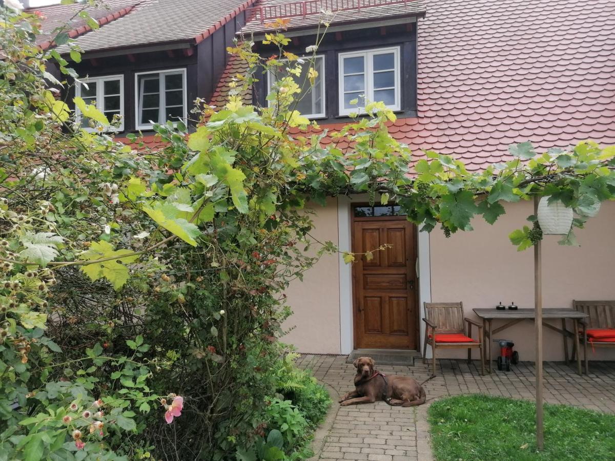 Ferienwohnungen Wastl Fraenkische Schweiz Hiltpoltstein Buitenkant foto